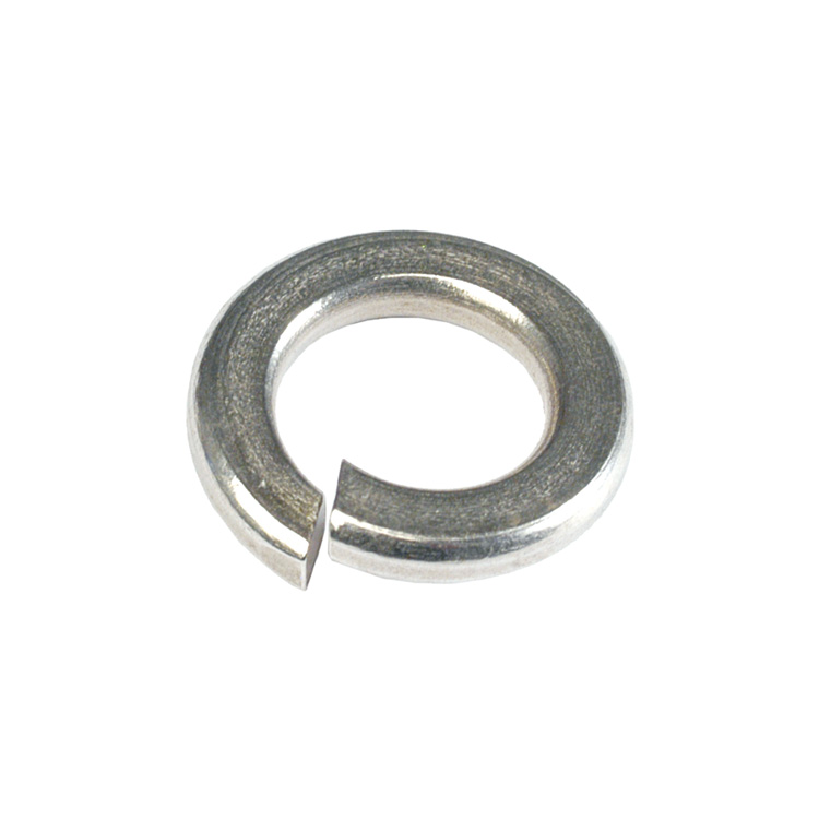 CHAMPION - SPRING WASHERS 10MM